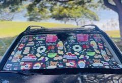 Eden In Love Car Shade All Kine Snacks